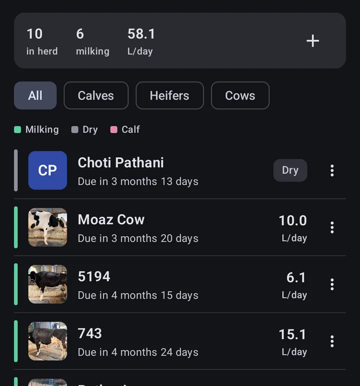 DairyTrack herd view showing Zavi Farms animals, milking status and daily milk records