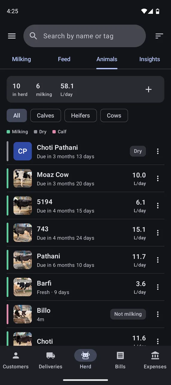 DairyTrack herd screen showing milk per animal and pregnancy due dates